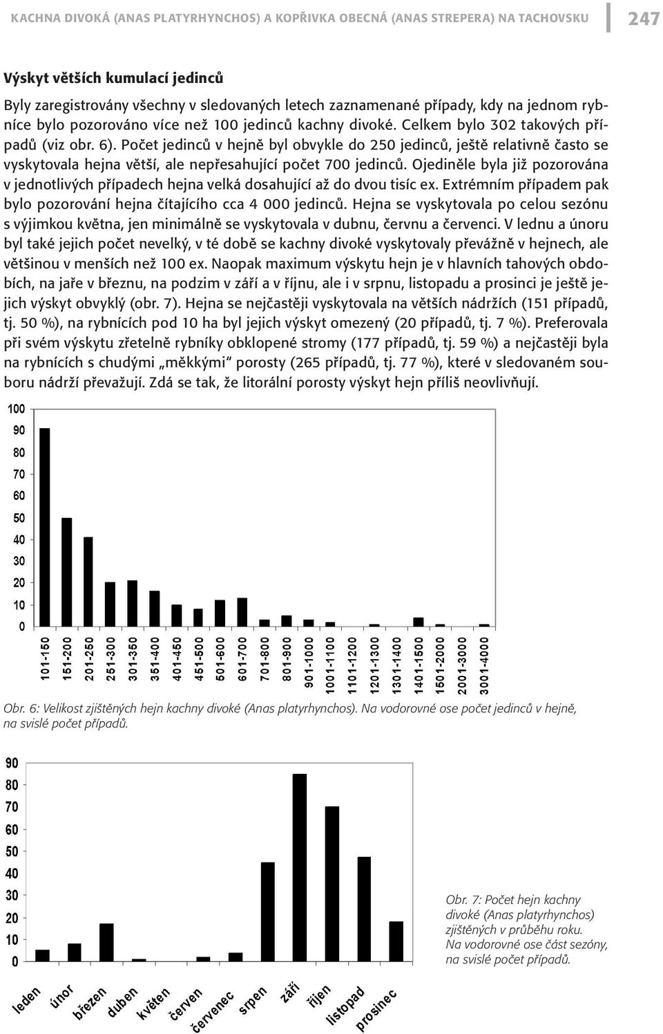 Počet jedinců v hejně byl obvykle do 250 jedinců, ještě relativně často se vyskytovala hejna větší, ale nepřesahující počet 700 jedinců.