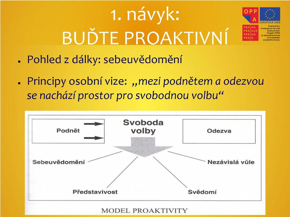 osobní vize: mezi podnětem a