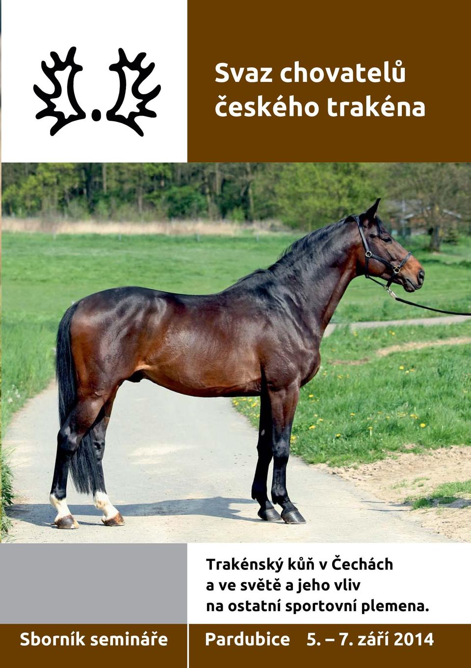 jeho vliv na ostatní sportovní