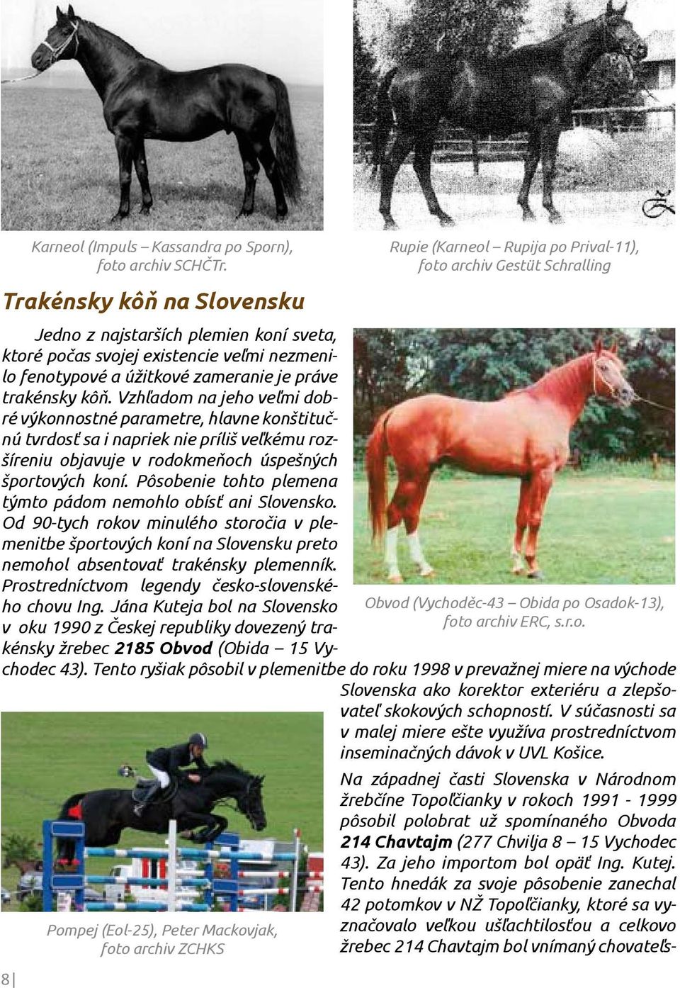 Pôsobenie tohto plemena týmto pádom nemohlo obísť ani Slovensko. Od 90-tych rokov minulého storočia v plemenitbe športových koní na Slovensku preto nemohol absentovať trakénsky plemenník.