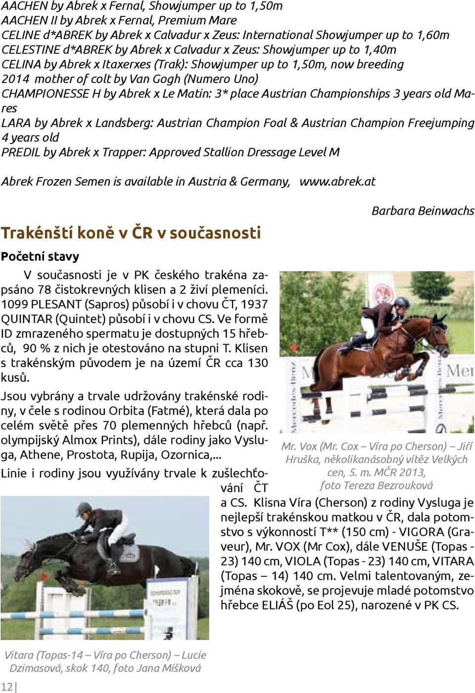 place Austrian Championships 3 years old Mares LARA by Abrek x Landsberg: Austrian Champion Foal & Austrian Champion Freejumping 4 years old PREDIL by Abrek x Trapper: Approved Stallion Dressage