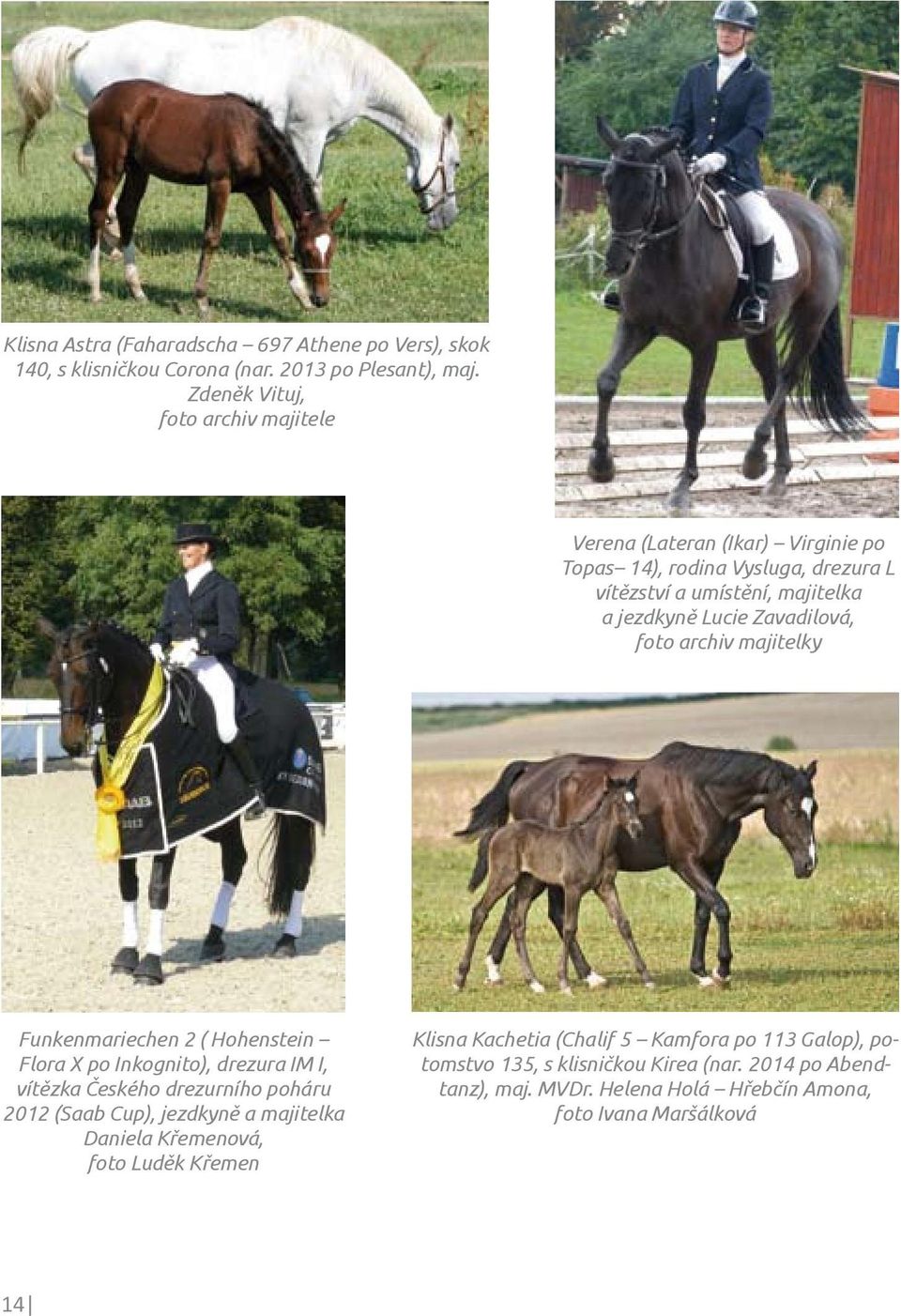 Zavadilová, foto archiv majitelky Funkenmariechen 2 ( Hohenstein Flora X po Inkognito), drezura IM I, vítězka Českého drezurního poháru 2012 (Saab Cup),