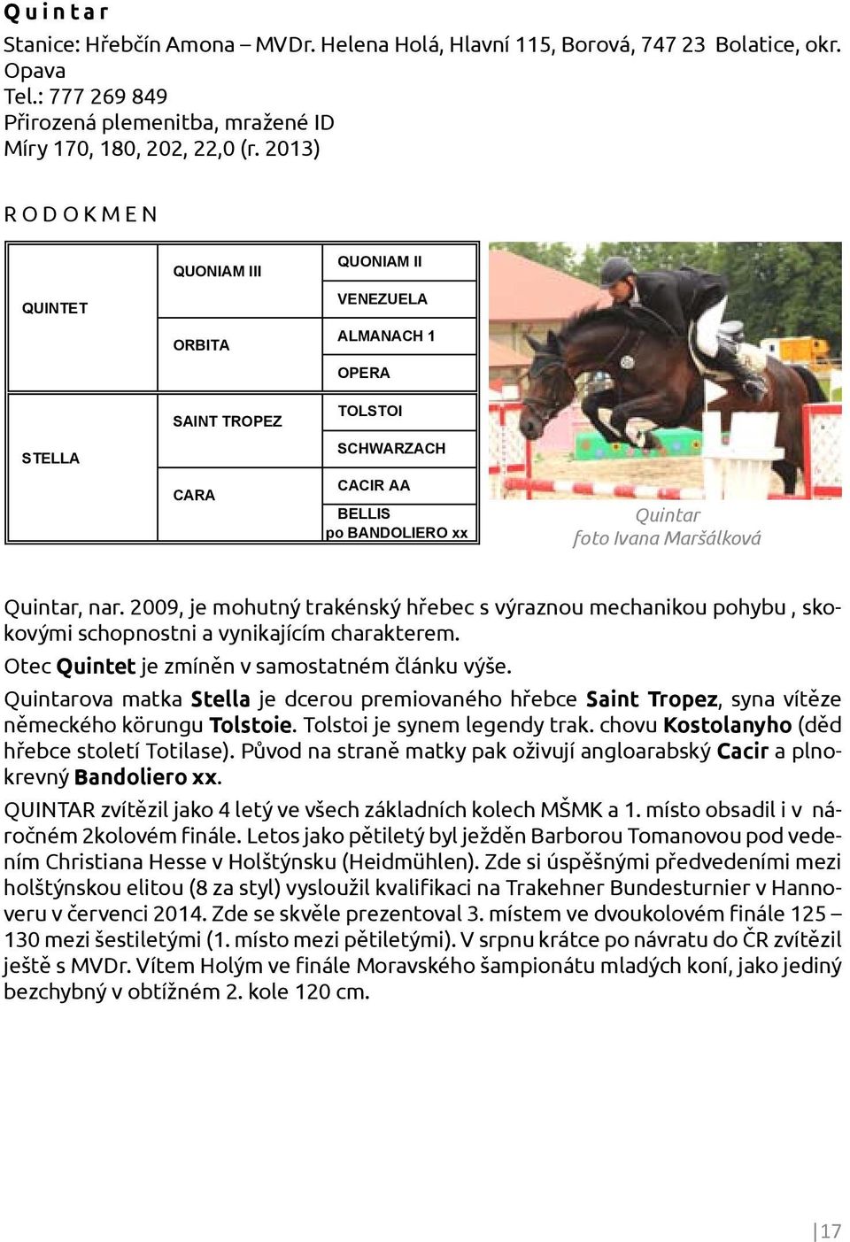 2013) RODOKMEN QUINTAR CHOKKEJ 41 POMERANEC QUINTET STELLA QUONIAM III ORBITA SAINT TROPEZ CARA QUONIAM II VENEZUELA ALMANACH 1 OPERA TOLSTOI SCHWARZACH CACIR AA BELLIS po BANDOLIERO xx Quintar foto