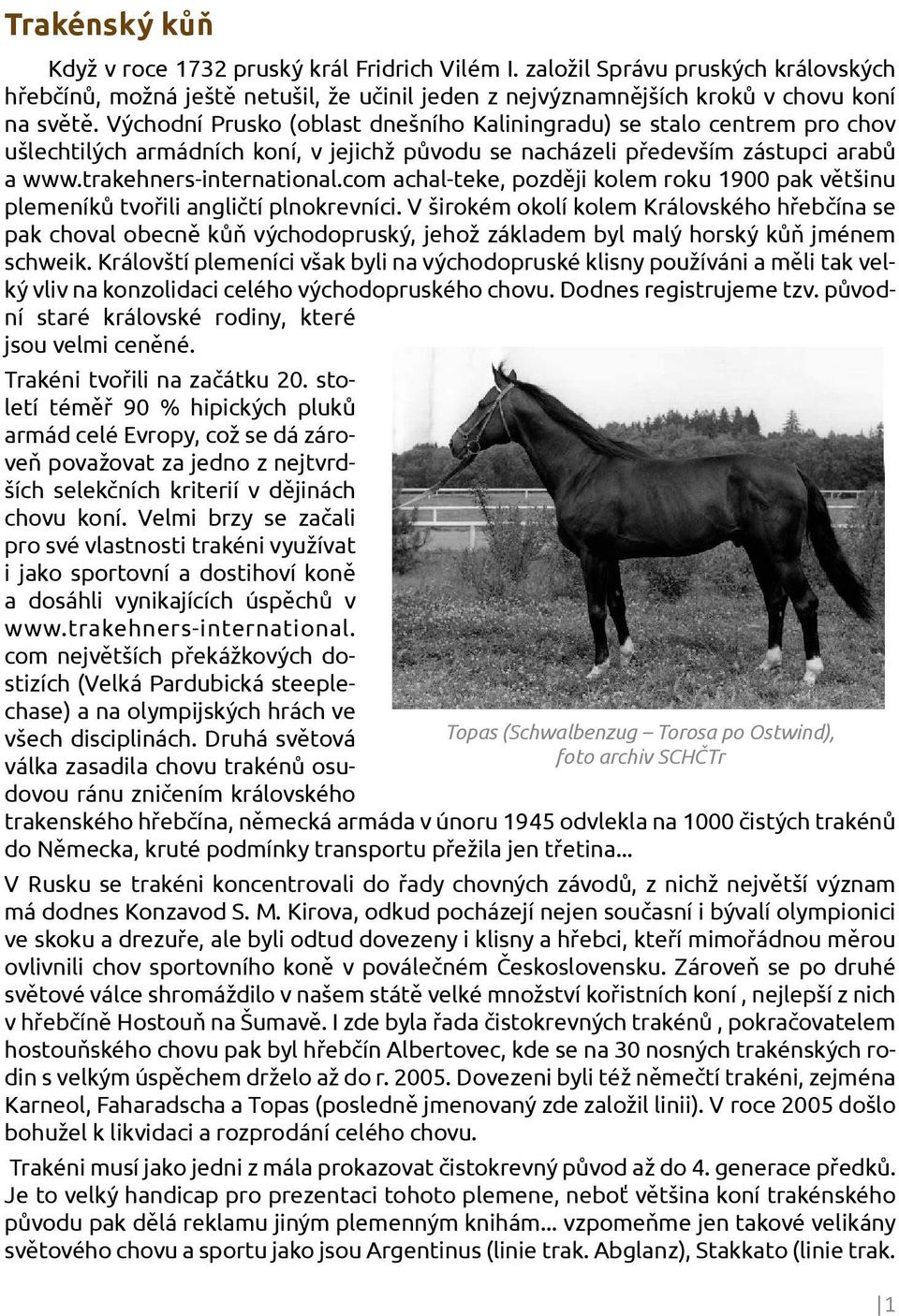 com achal-teke, později kolem roku 1900 pak většinu plemeníků tvořili angličtí plnokrevníci.