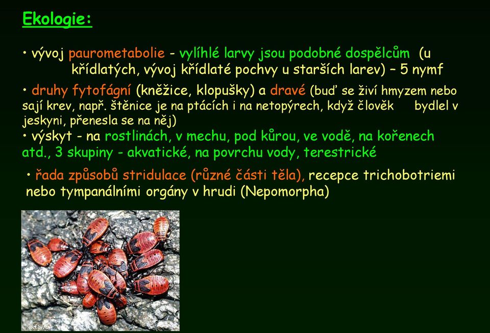 štěnice je na ptácích i na netopýrech, když člověk bydlel v jeskyni, přenesla se na něj) výskyt - na rostlinách, v mechu, pod kůrou, ve