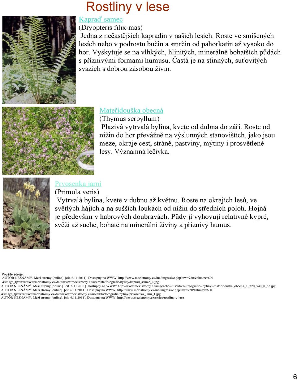 Mateřídouška obecná (Thymus serpyllum) Plazivá vytrvalá bylina, kvete od dubna do září.