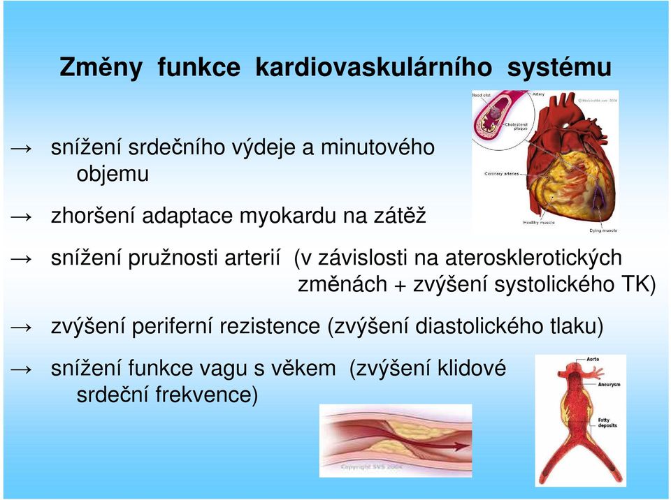 aterosklerotických změnách + zvýšení systolického TK) zvýšení periferní rezistence