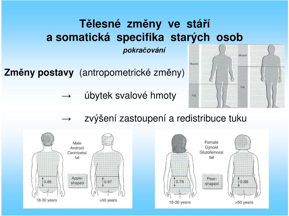 postavy (antropometrické změny) úbytek