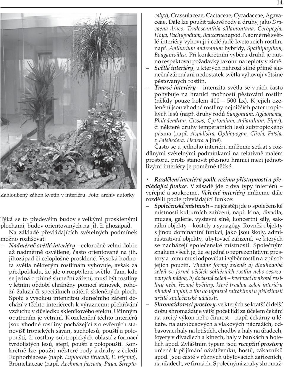 Vysoká hodnota světla některým rostlinám vyhovuje, avšak za předpokladu, že jde o rozptýlené světlo.