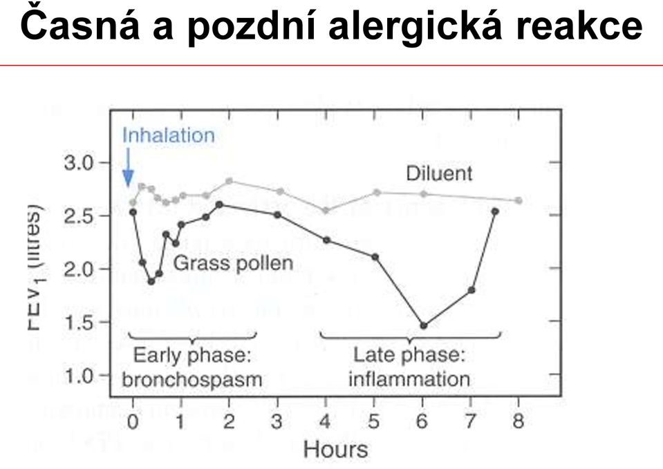 alergická