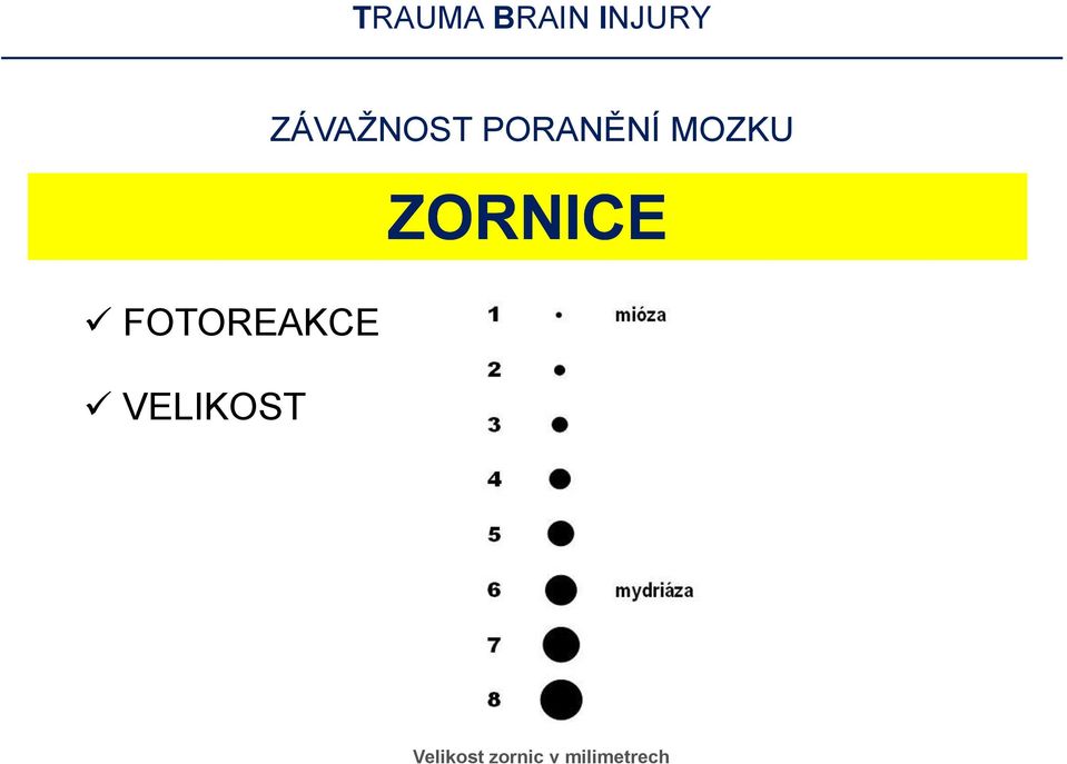 MOZKU ZORNICE