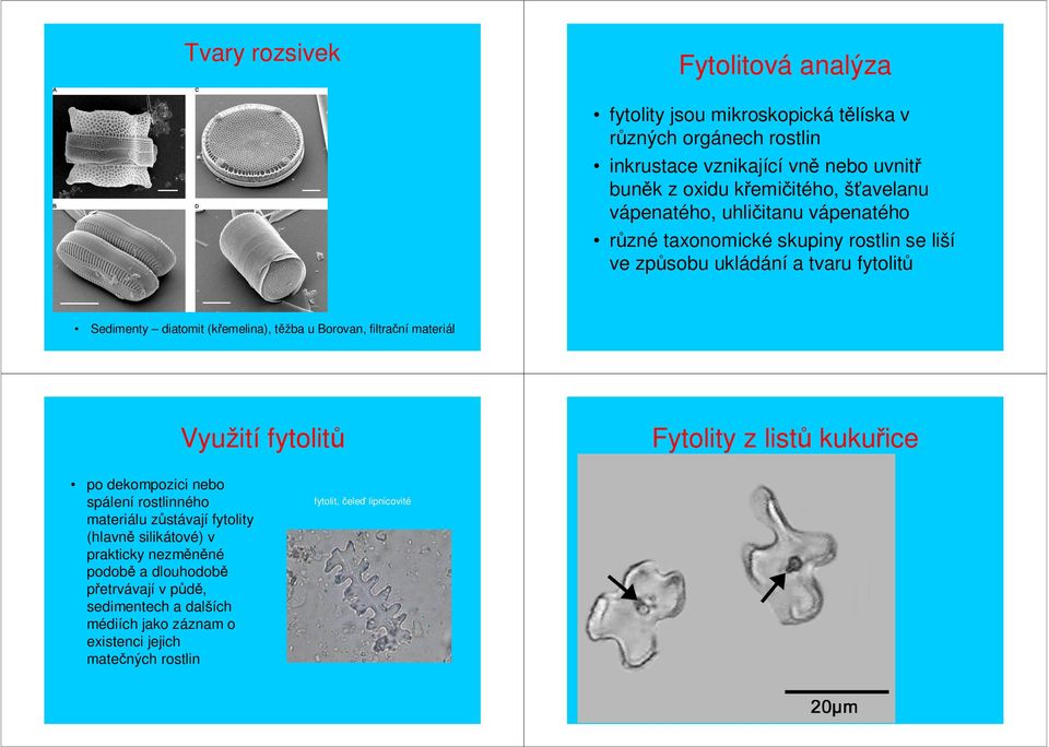 Borovan, filtrační materiál Využití fytolitů po dekompozici nebo spálení rostlinného materiálu zůstávají fytolity (hlavně silikátové) v prakticky nezměněné podobě