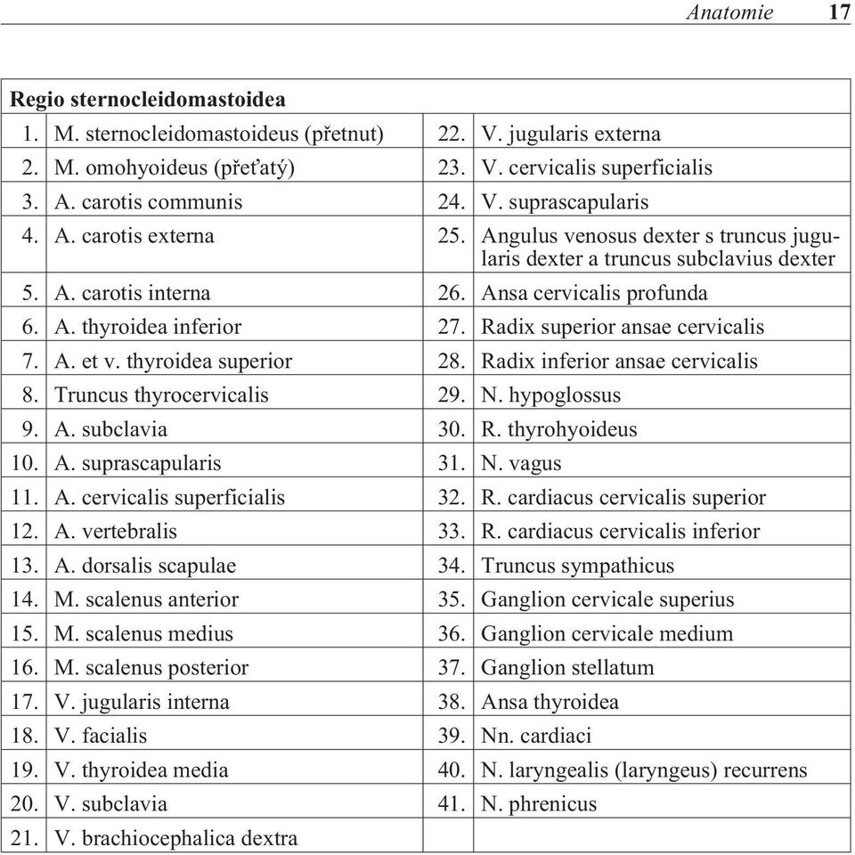 Radix superior ansae cervicalis 7. A. et v. thyroidea superior 28. Radix inferior ansae cervicalis 8. Truncus thyrocervicalis 29. N. hypoglossus 9. A. subclavia 30. R. thyrohyoideus 10. A. suprascapularis 31.