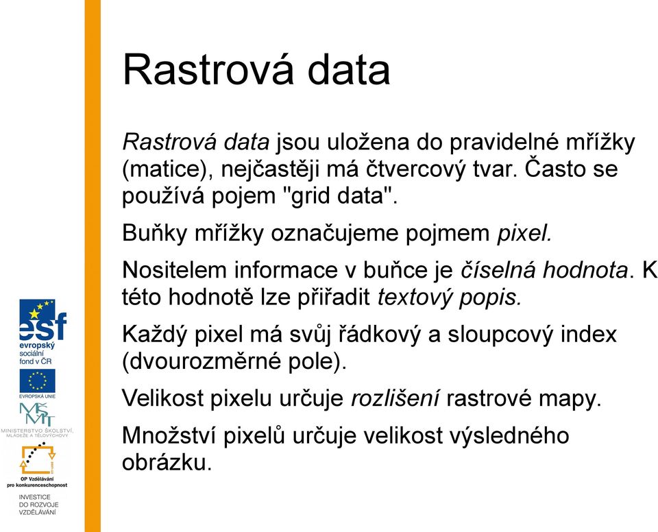 Nositelem informace v buňce je číselná hodnota. K této hodnotě lze přiřadit textový popis.