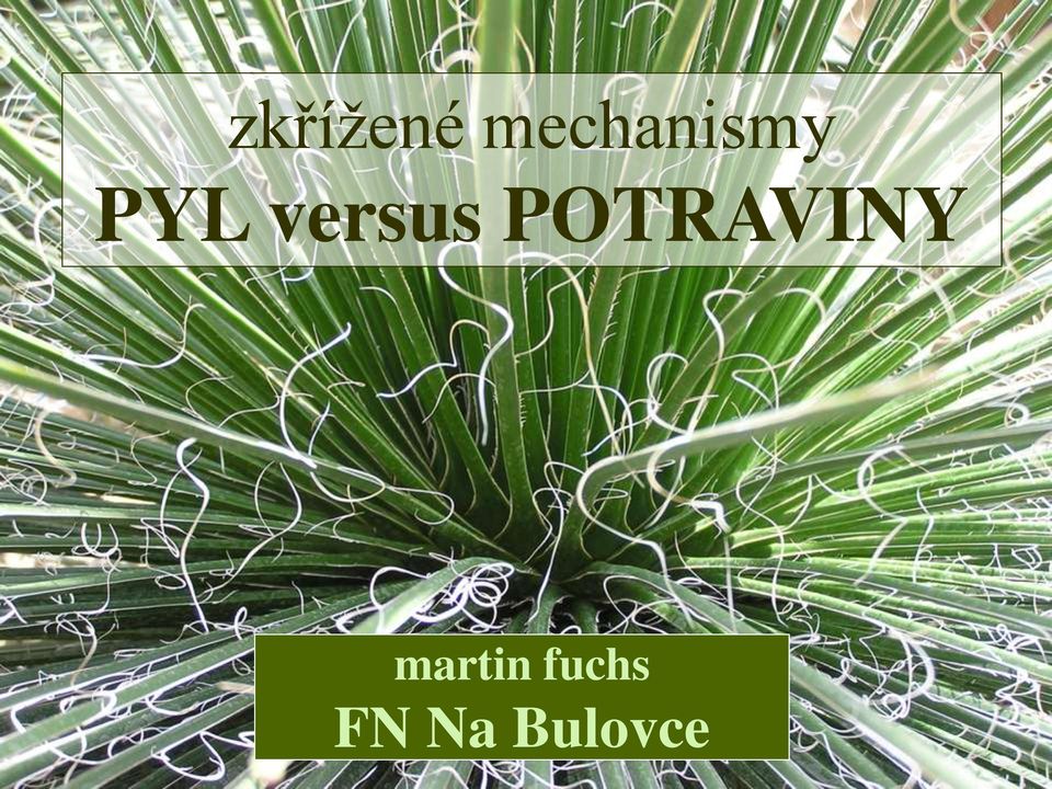 versus POTRAVINY
