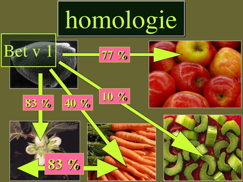 % 83 % 40