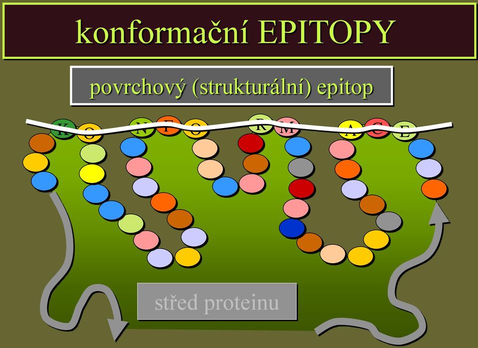 (strukturální) epitop
