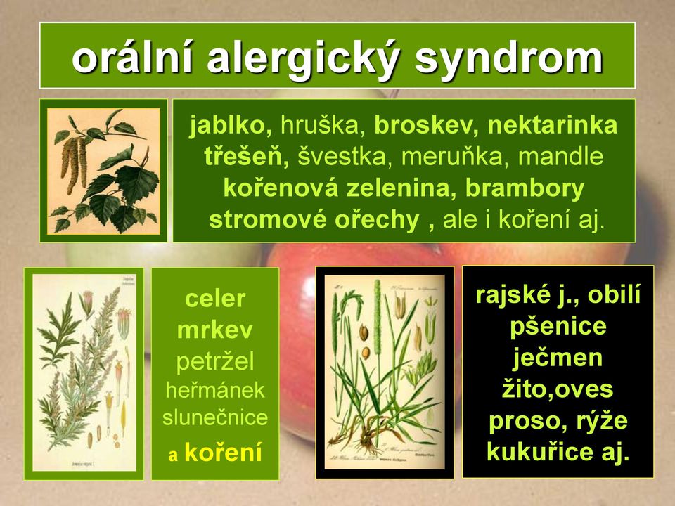 stromové ořechy, ale i koření aj.