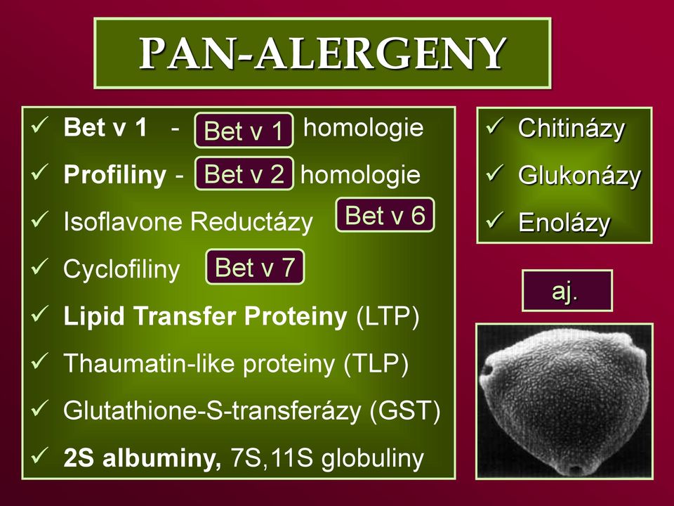 Transfer Proteiny (LTP) Thaumatin-like proteiny (TLP)