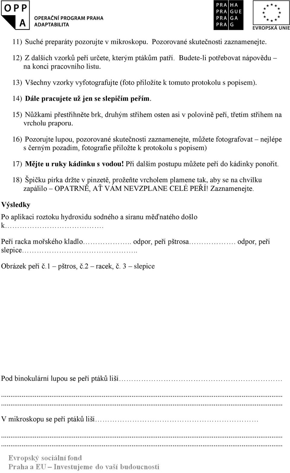 15) Nůţkami přestřihněte brk, druhým střihem osten asi v polovině peří, třetím střihem na vrcholu praporu.