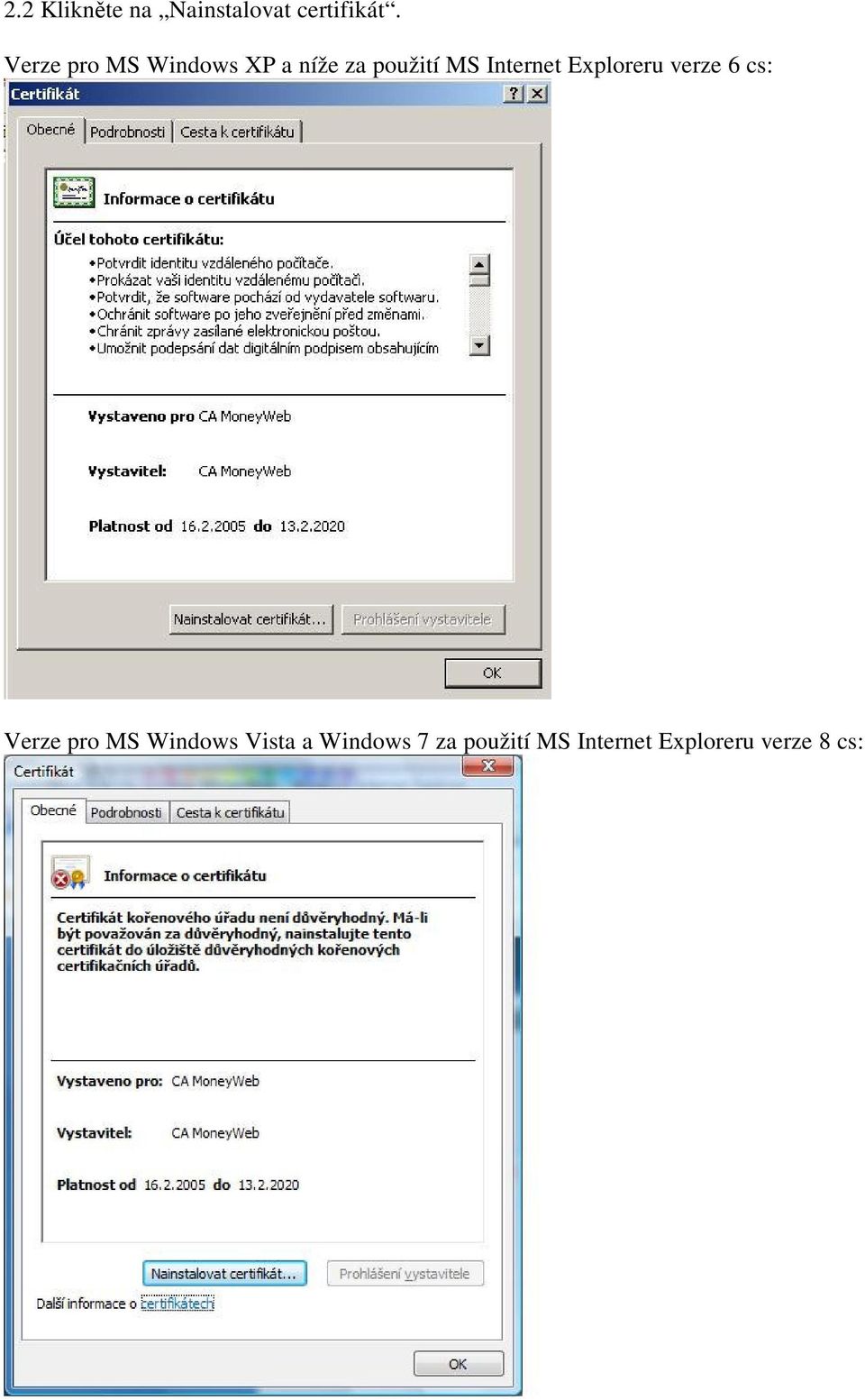 Internet Exploreru verze 6 cs: Verze pro MS