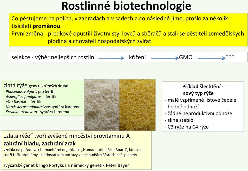 ?? zlatá rýže geny z 5 různých druhů - Phaseolus vulgaris pro ferritin - Aspergilus fumigatus - ferritin - rýže Basmati - ferritin - Narcissus pseudonarcissus syntéza karotenu - Erwinia uredovora -