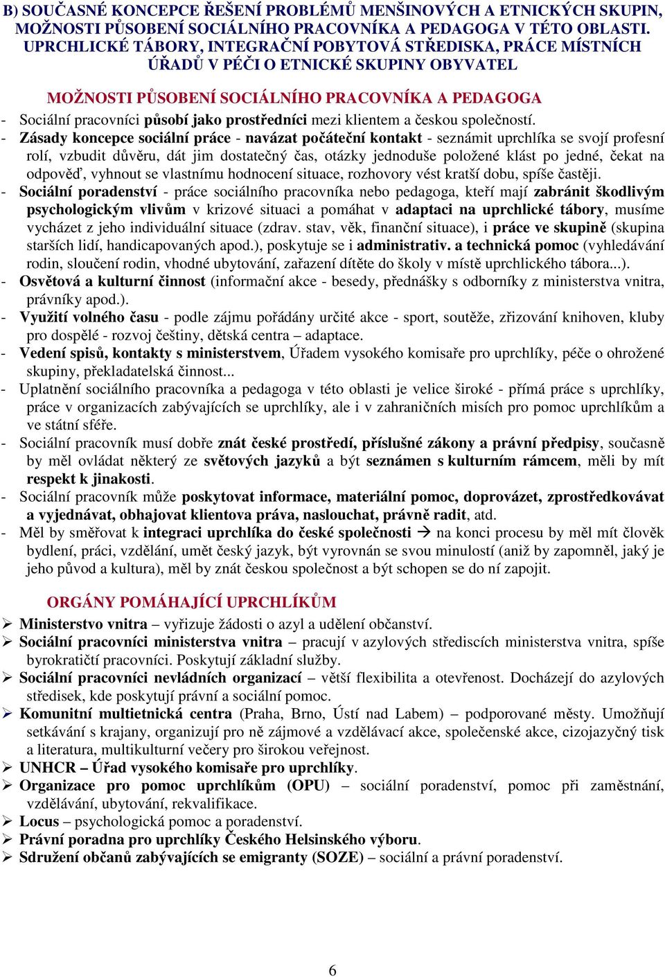 prostředníci mezi klientem a českou společností.