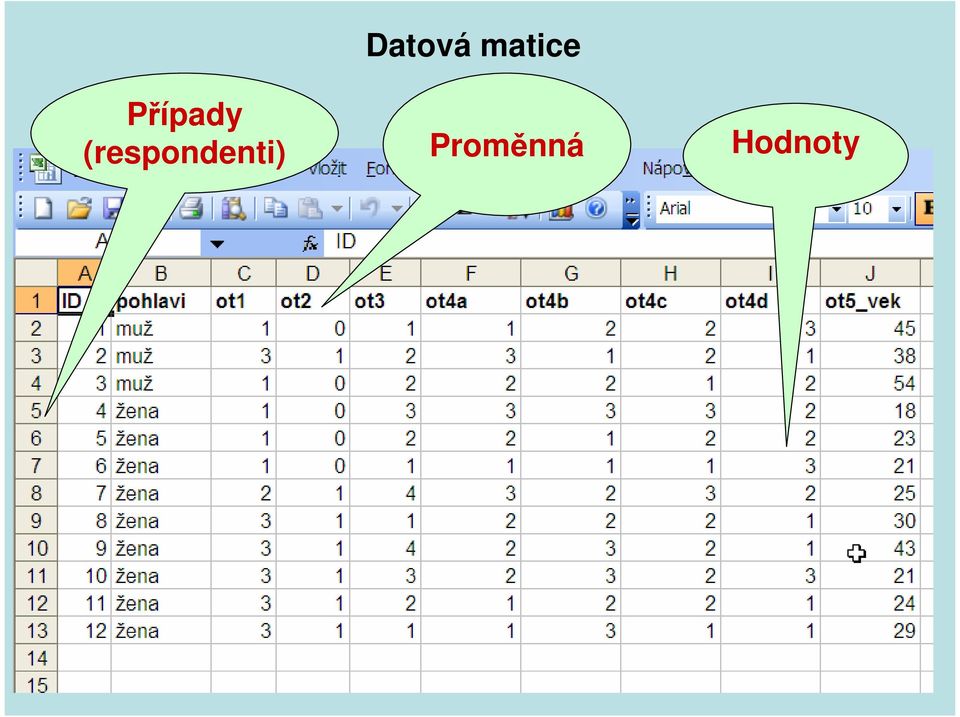 Datová matice