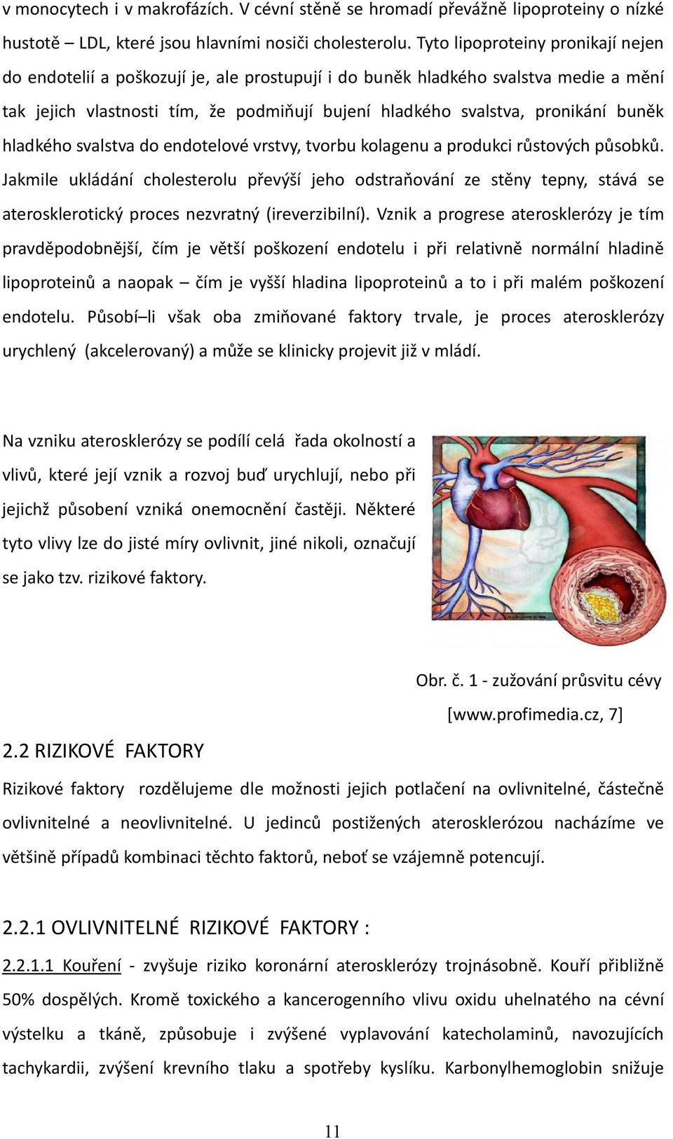 buněk hladkého svalstva do endotelové vrstvy, tvorbu kolagenu a produkci růstových působků.