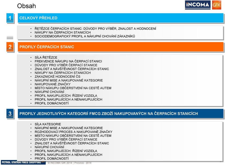 NAKUPOVANÉ KATEGORIE NAKUPOVANÉ ZNAČKY MÍSTO NÁKUPU OBČERSTVENÍ NA CESTĚ AUTEM NÁKUPNÍ CHOVÁNÍ PROFIL NAKUPUJÍCÍCH: ŘÍZENÍ VOZIDLA PROFIL NAKUPUJÍCÍCH A NENAKUPUJÍCÍCH PROFIL DOMÁCNOSTÍ 3 PROFILY