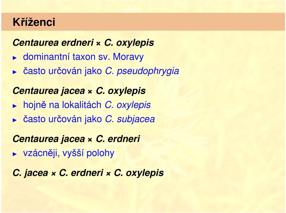 oxylepis hojně na lokalitách C. oxylepis často určován jako C.