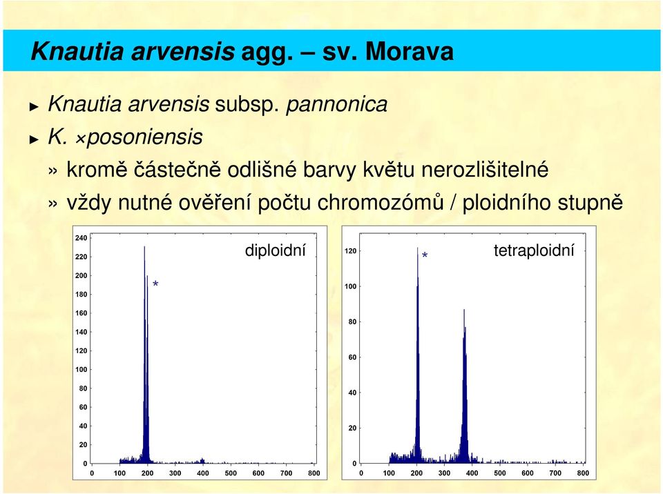 posoniensis» kromě částečně odlišné barvy květu