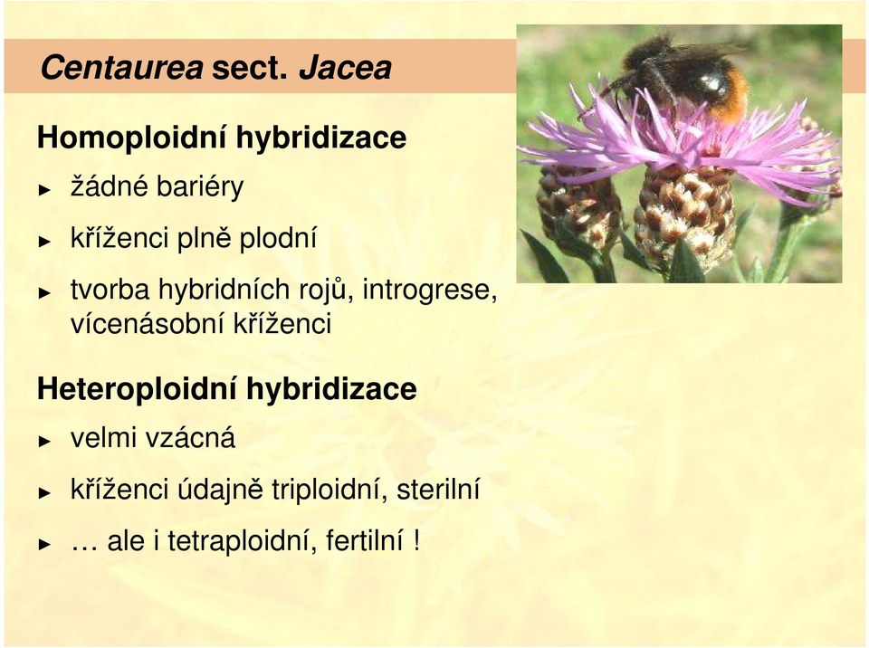 plodní tvorba hybridních rojů, introgrese, vícenásobní