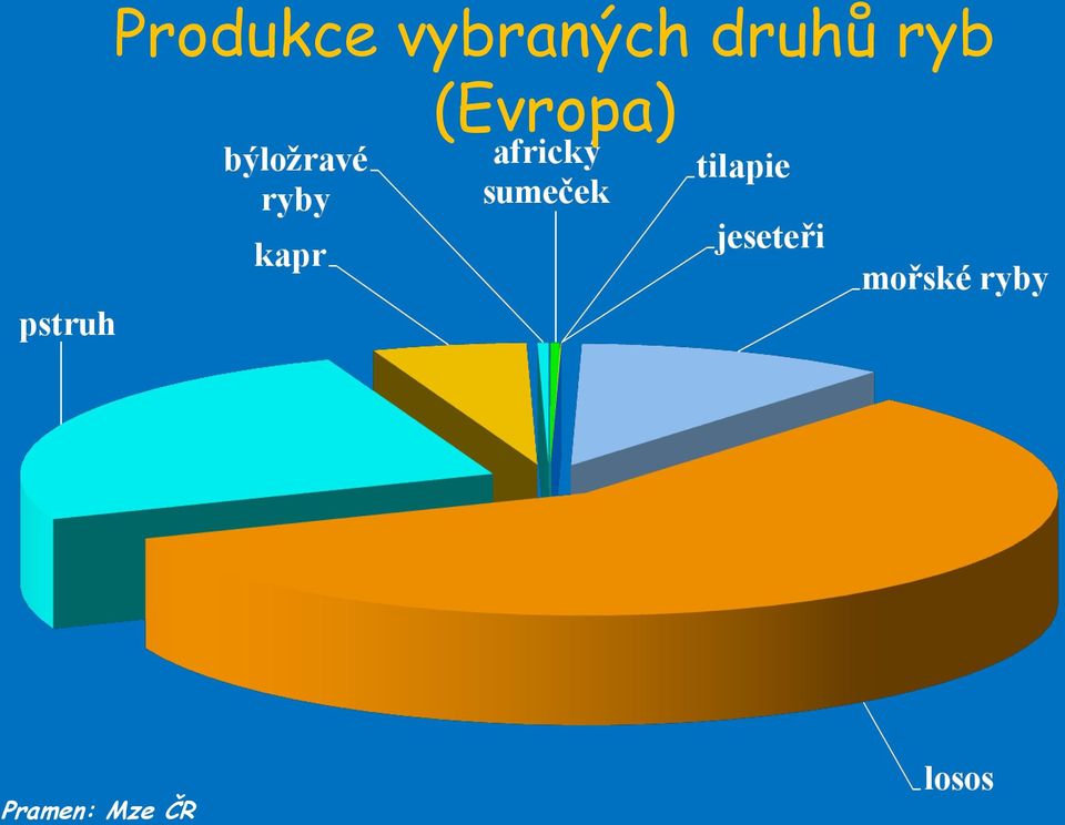 druhů ryb