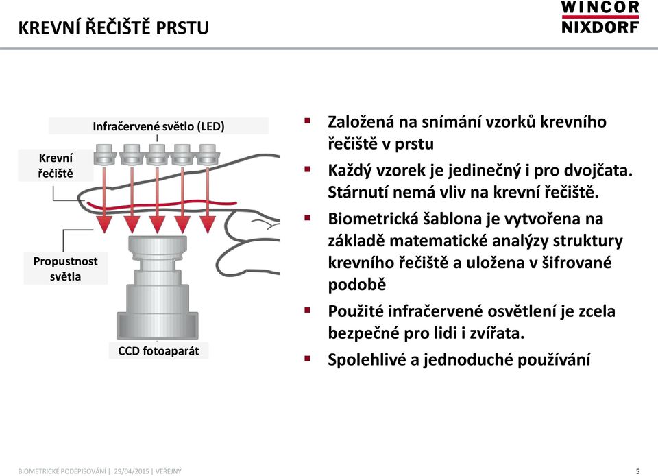 Stárnutí nemá vliv na krevní řečiště.