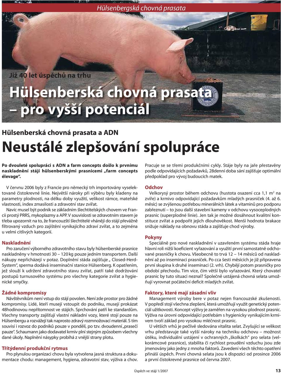 Největší nároky při výběru byly kladeny na parametry plodnosti, na délku doby využití, velikost rámce, mateřské vlastnosti, index zmasilosti a zdravotní stav zvířat.