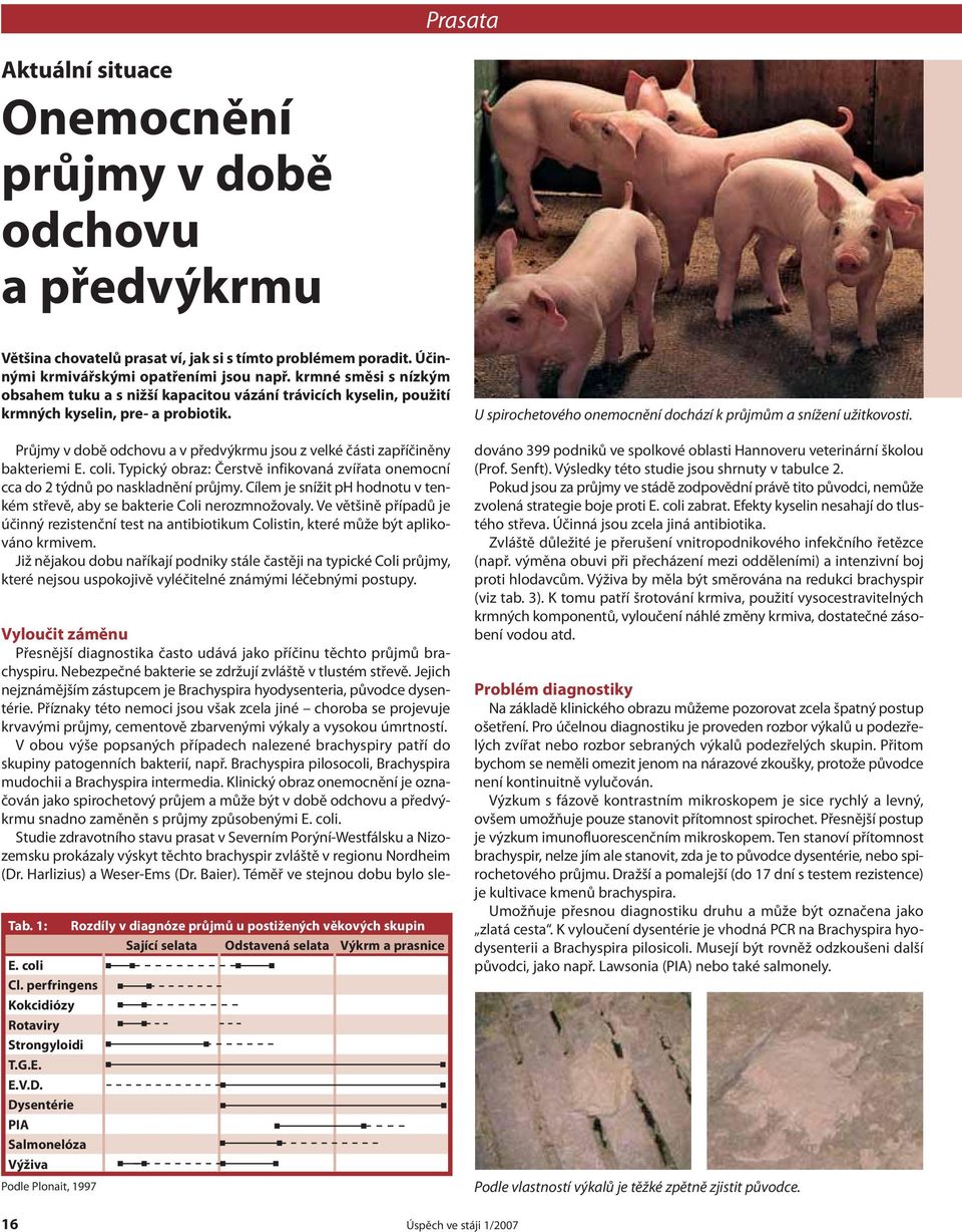 Průjmy v době odchovu a v předvýkrmu jsou z velké části zapříčiněny bakteriemi E. coli. Typický obraz: Čerstvě infikovaná zvířata onemocní cca do 2 týdnů po naskladnění průjmy.