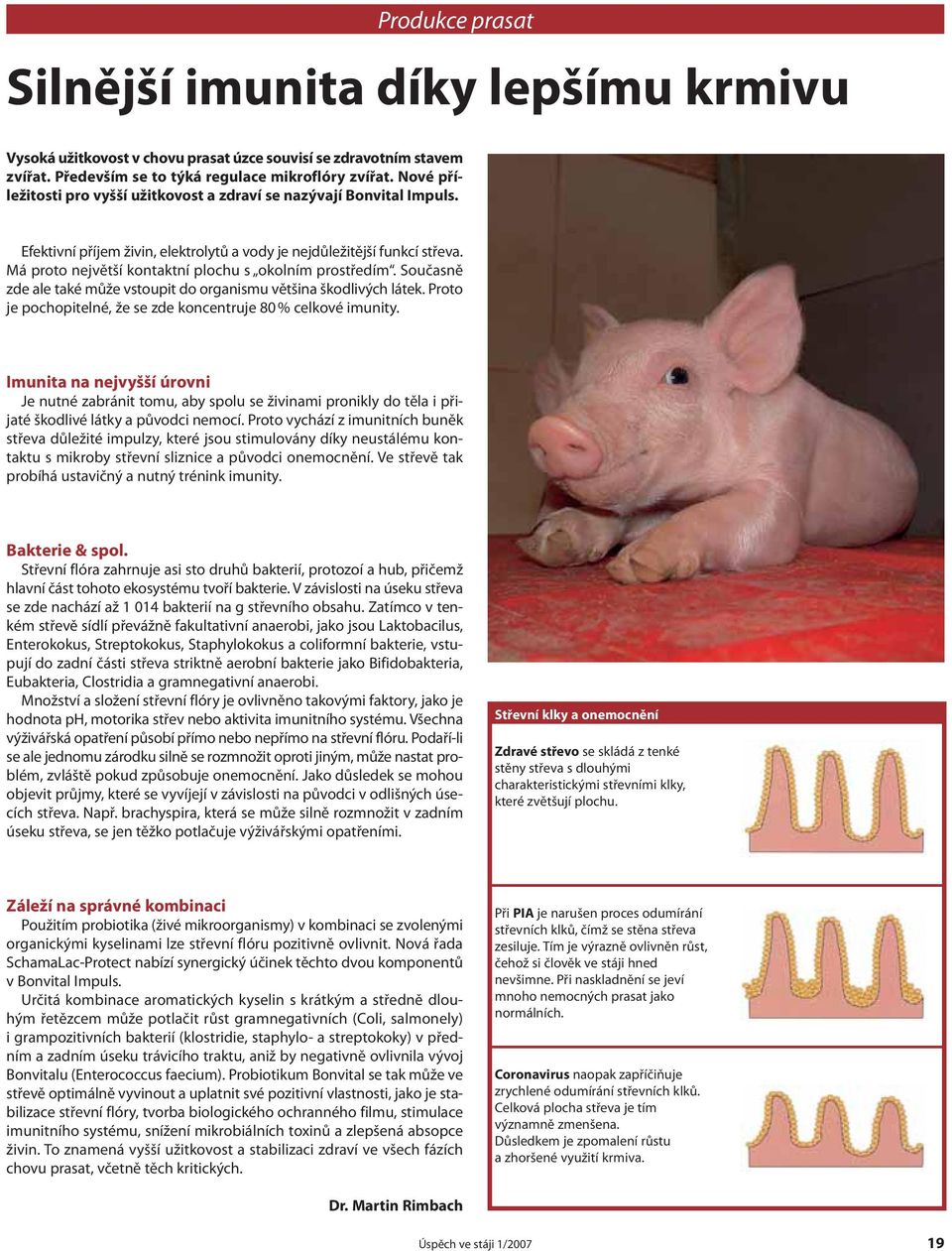 Má proto největší kontaktní plochu s okolním prostředím. Současně zde ale také může vstoupit do organismu většina škodlivých látek. Proto je pochopitelné, že se zde koncentruje 80 % celkové imunity.