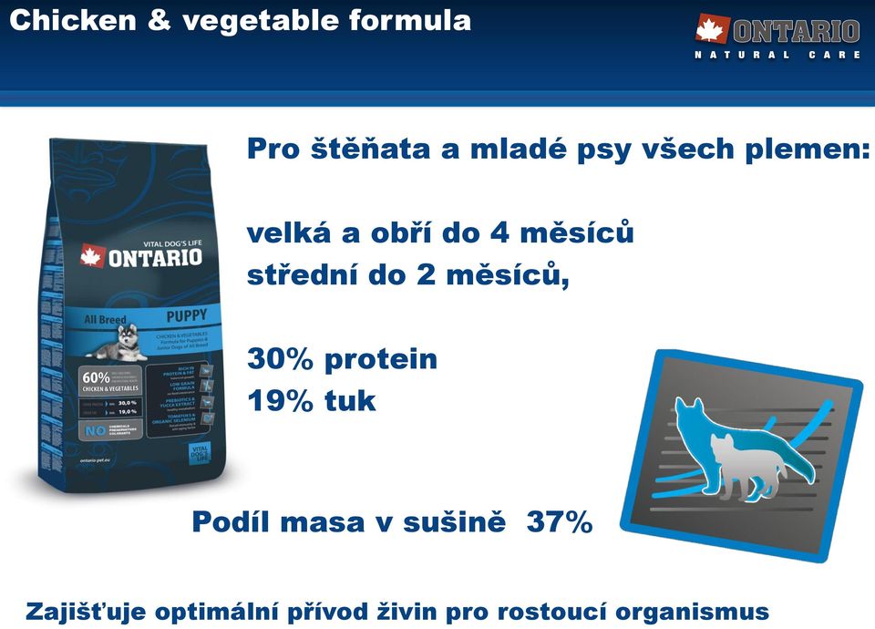 měsíců, 30% protein 19% tuk Podíl masa v sušině 37%