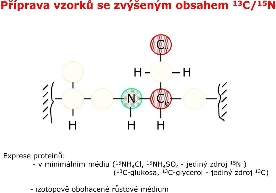 Cl, 15 NH 4 SO 4 - jediný zdroj 15 N ) ( 13 C-glukosa, 13