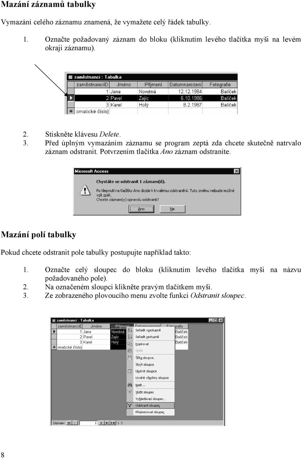 Před úplným vymazáním záznamu se program zeptá zda chcete skutečně natrvalo záznam odstranit. Potvrzením tlačítka Ano záznam odstraníte.