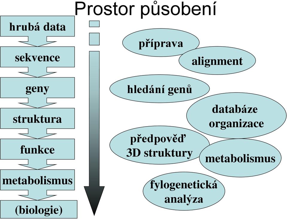 předpověď 3D struktury databáze organizace