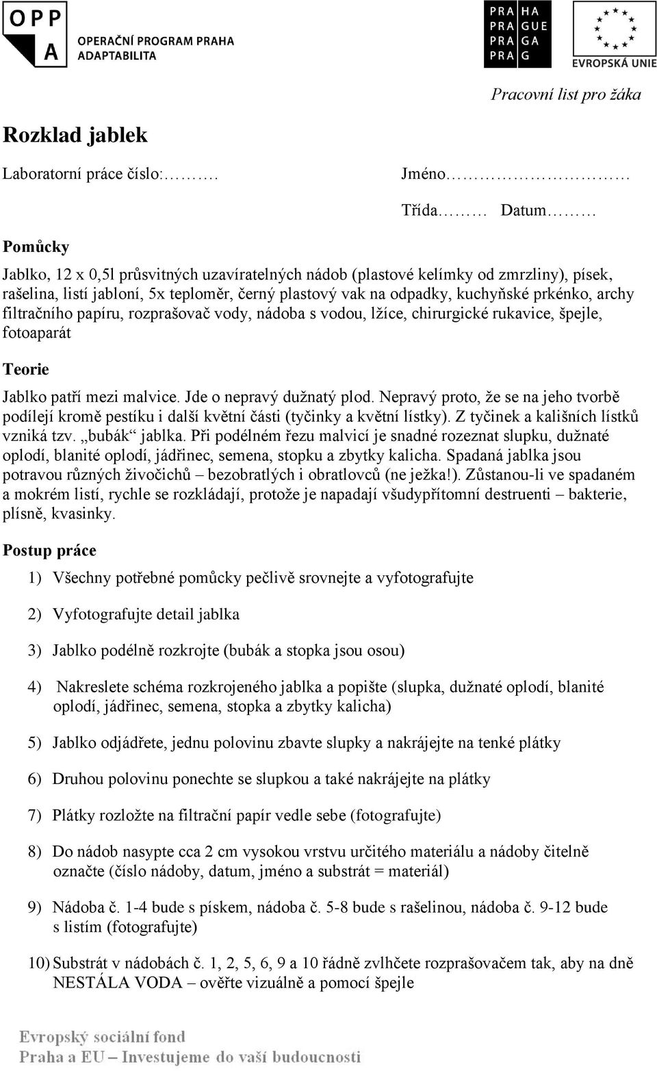 prkénko, archy filtračního papíru, rozprašovač vody, nádoba s vodou, lžíce, chirurgické rukavice, špejle, fotoaparát Teorie Jablko patří mezi malvice. Jde o nepravý dužnatý plod.