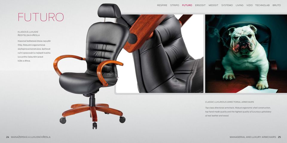 kůže a dřeva. Classic luxurious directorial armchairs Top class directorial armchairs.