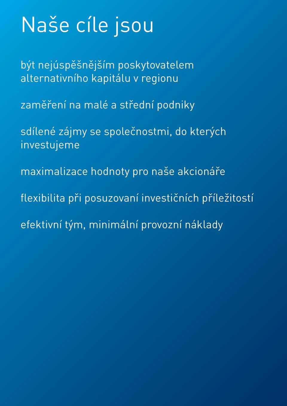 maximalizace hodnoty pro naše akcionáře flexibilita při posuzovaní investičních