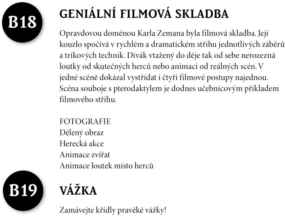 Divák vtažený do děje tak od sebe nerozezná loutky od skutečných herců nebo animaci od reálných scén.
