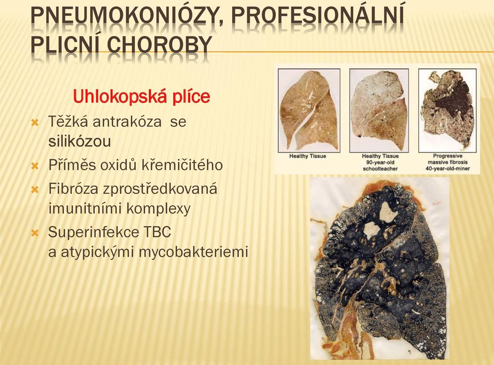 Příměs oxidů křemičitého Fibróza zprostředkovaná