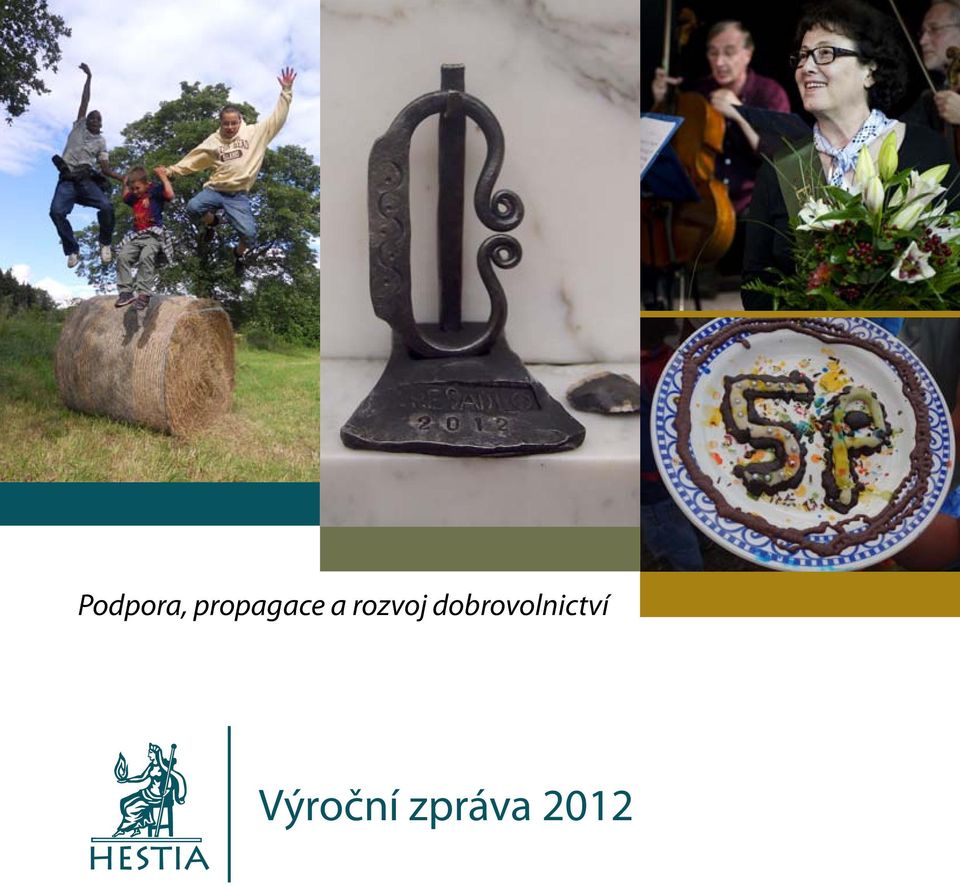 dobrovolnictví