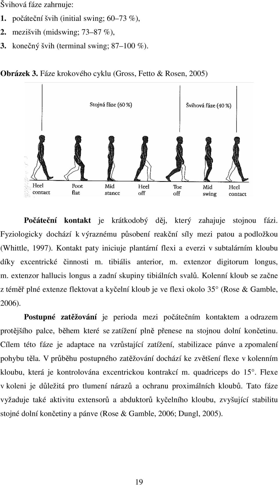 Fyziologicky dochází k výraznému působení reakční síly mezi patou a podložkou (Whittle, 1997). Kontakt paty iniciuje plantární flexi a everzi v subtalárním kloubu díky excentrické činnosti m.