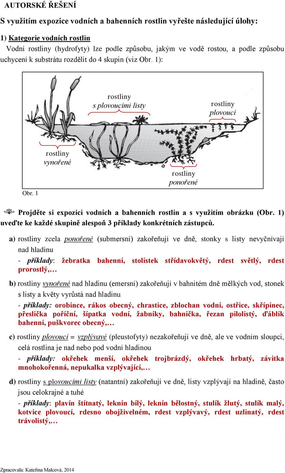 1 rostliny vynořené rostliny ponořené Projděte si expozici vodních a bahenních rostlin a s využitím obrázku (Obr. 1) uveďte ke každé skupině alespoň 3 příklady konkrétních zástupců.